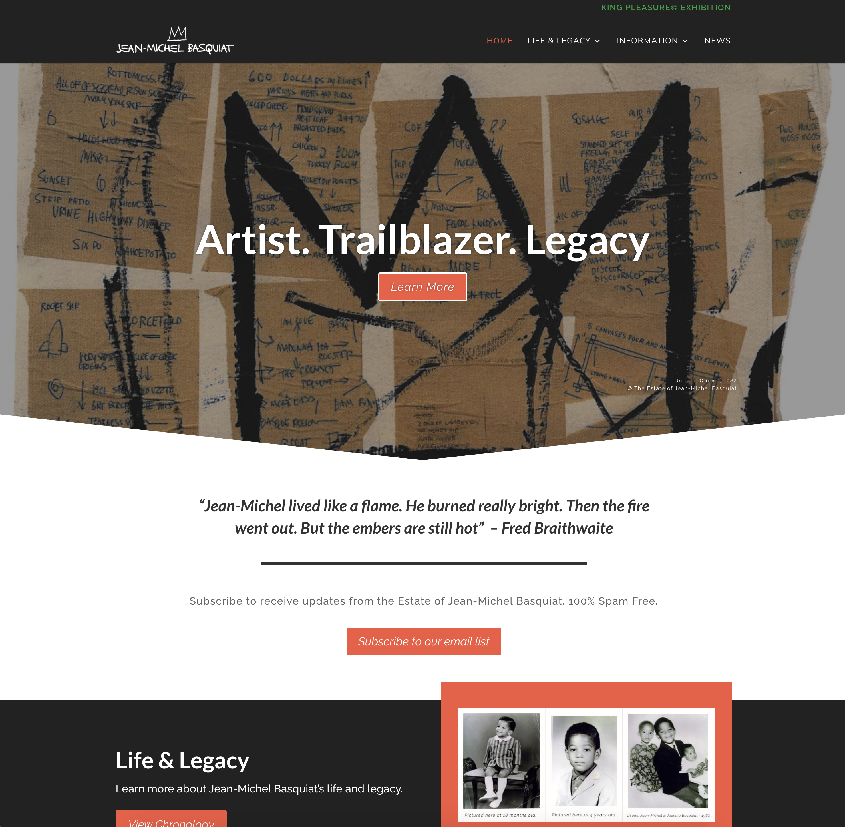 Basquiat-com-portfolio