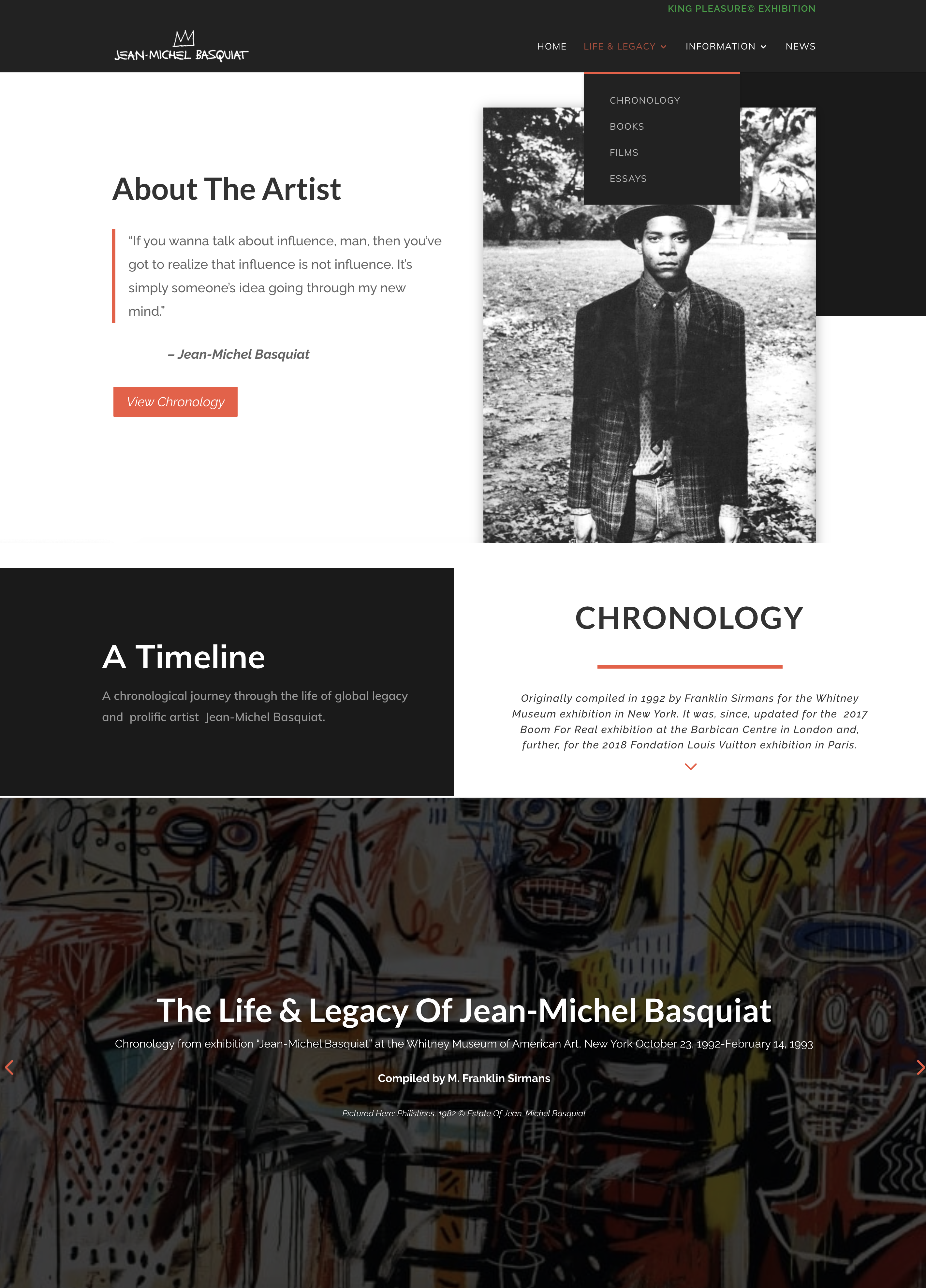 Basquiat_portfolio-about1